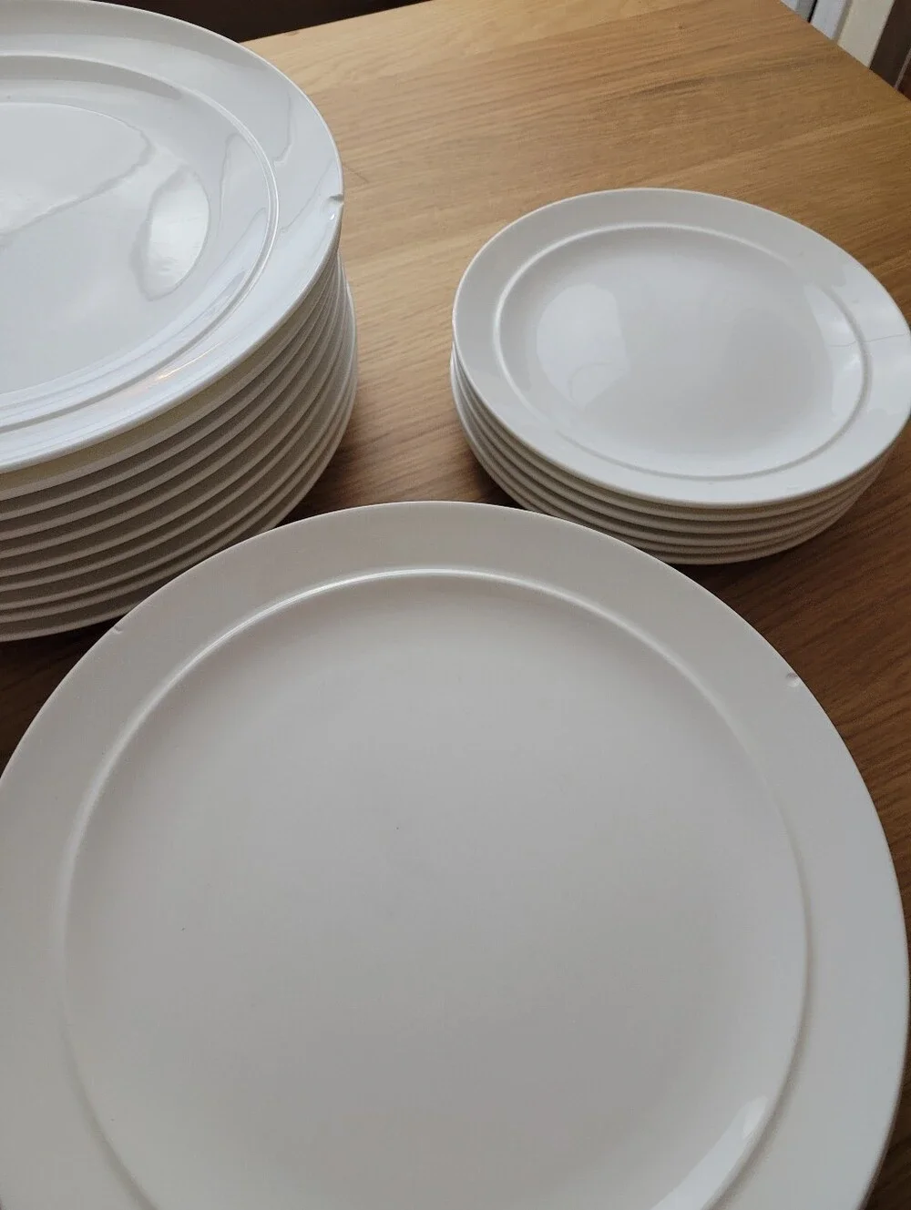 CRATE & BARREL Halo bone china dinner plates set